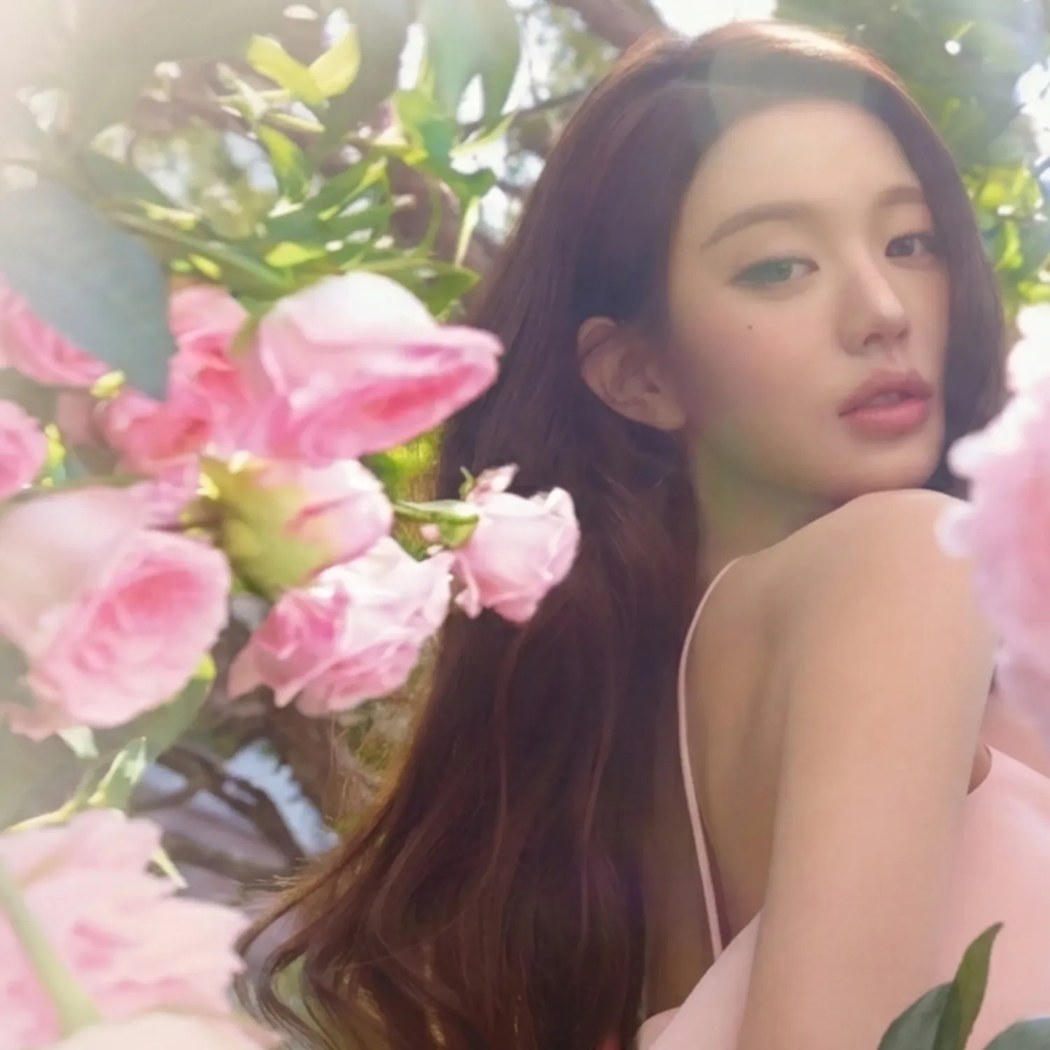 Latest photo of Jang Wonyoung (IVE)