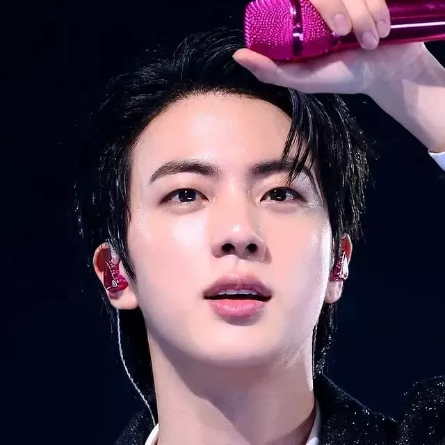 A moment captured by Jin (BTS)'s fan