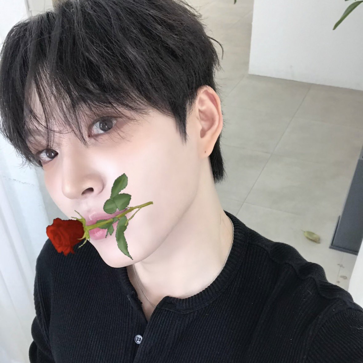 Recent activity shot of HEECHAN (DKB)