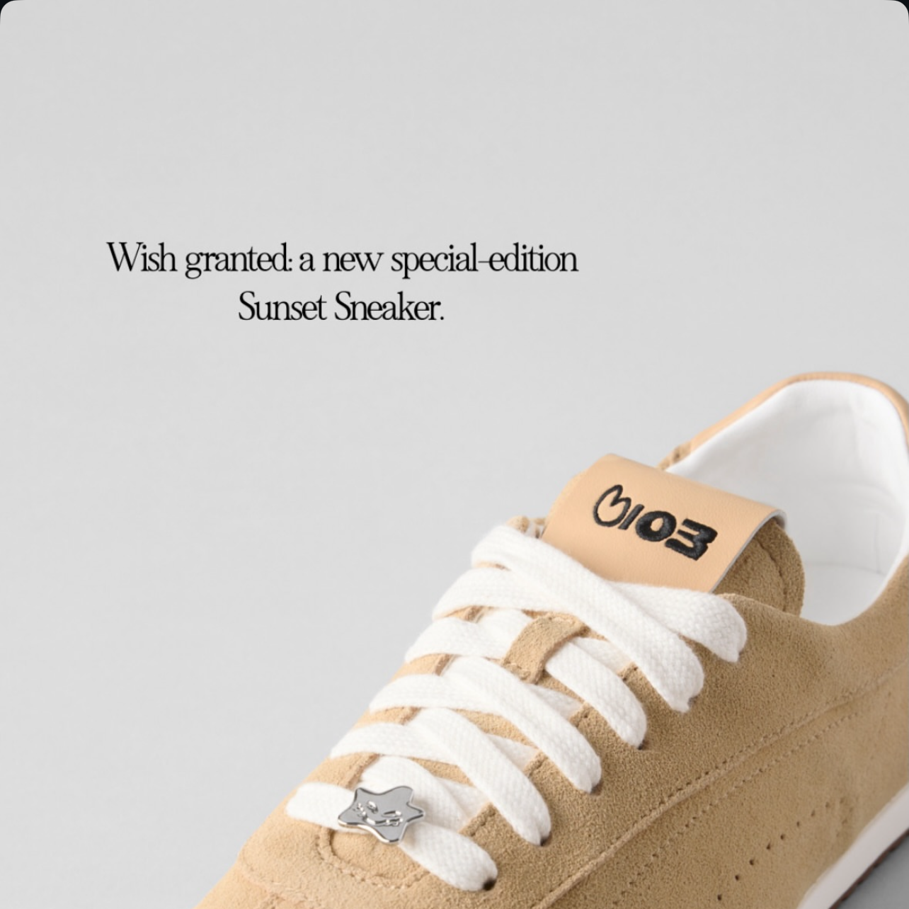 BLACKPINK 팬이 찍은 순간