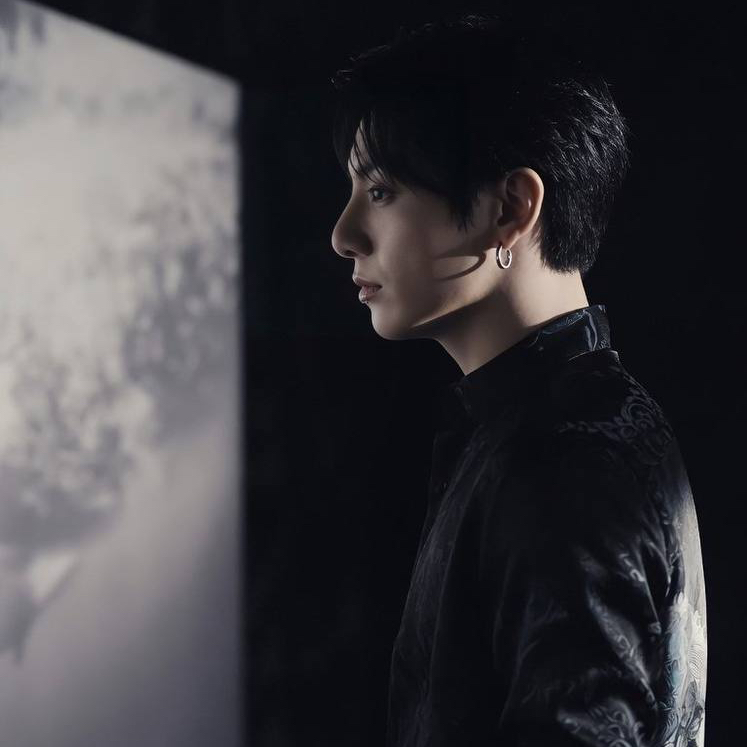 A moment captured by Jungkook (BTS)'s fan