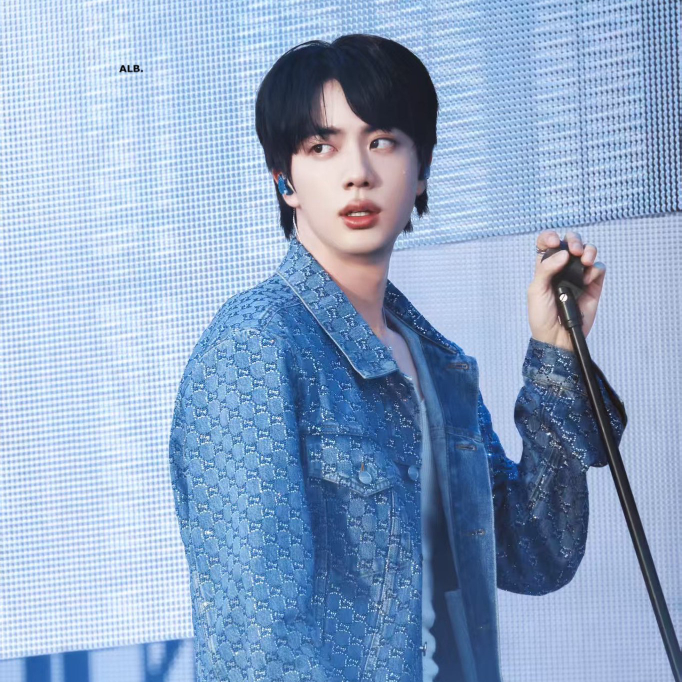 진 (방탄소년단) 팬이 찍은 순간