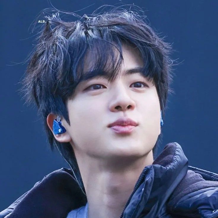 ジン (BTS)ファンが撮った瞬間