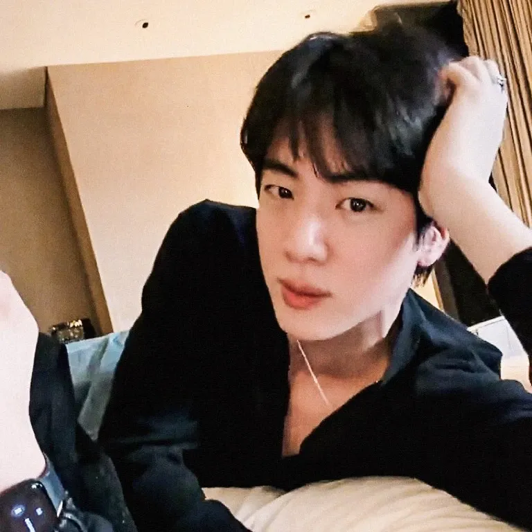 진 (방탄소년단) 팬이 찍은 순간