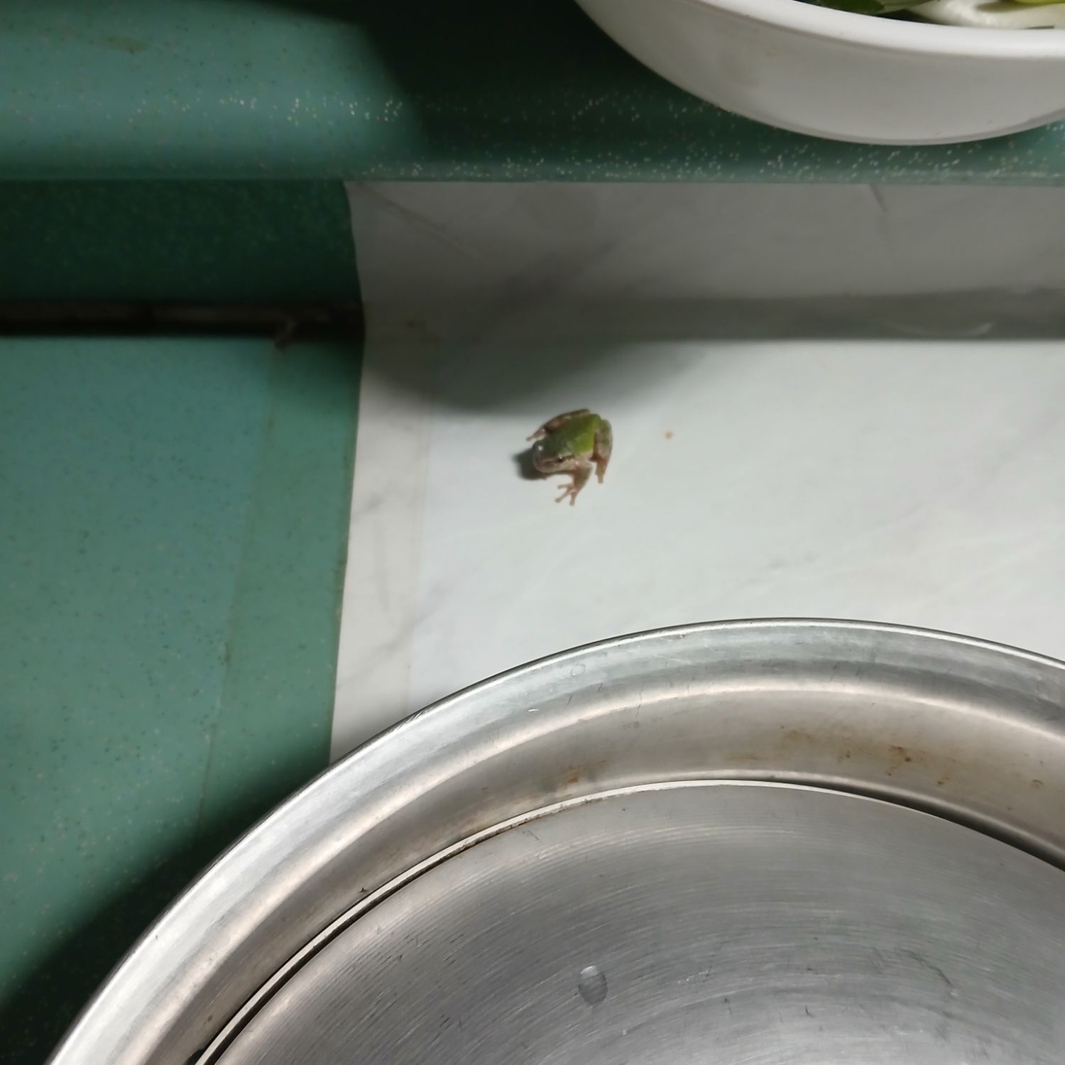 Latest photo of Jin (BTS)