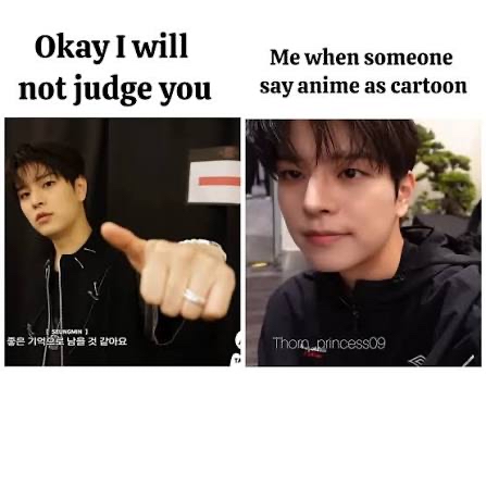 Stray Kids 팬이 찍은 순간