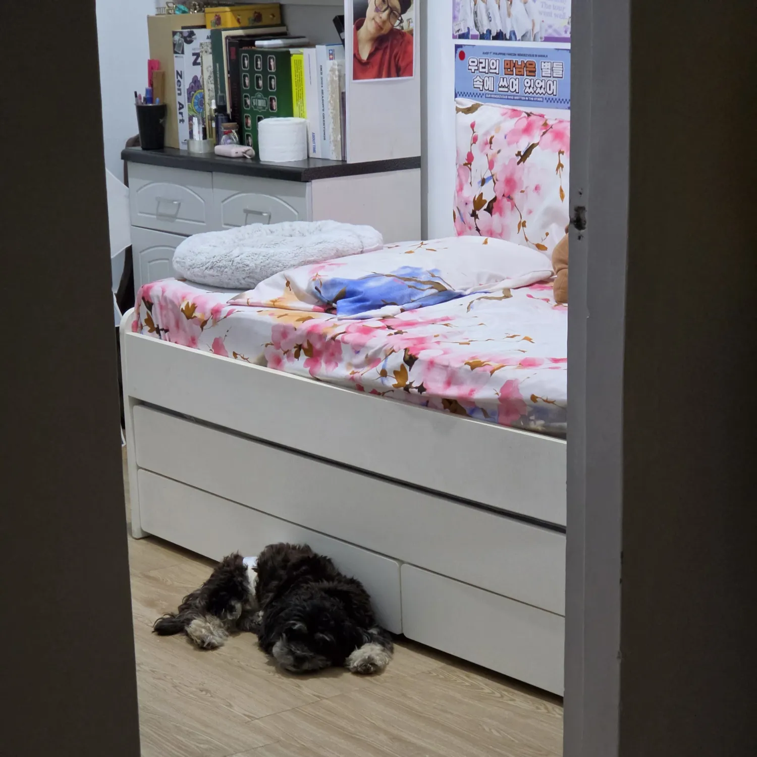 Potret di balik layar SEVENTEEN