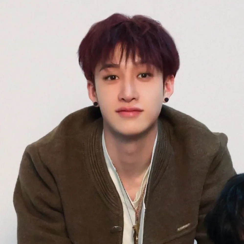 方灿 (Stray Kids)的幕后花絮