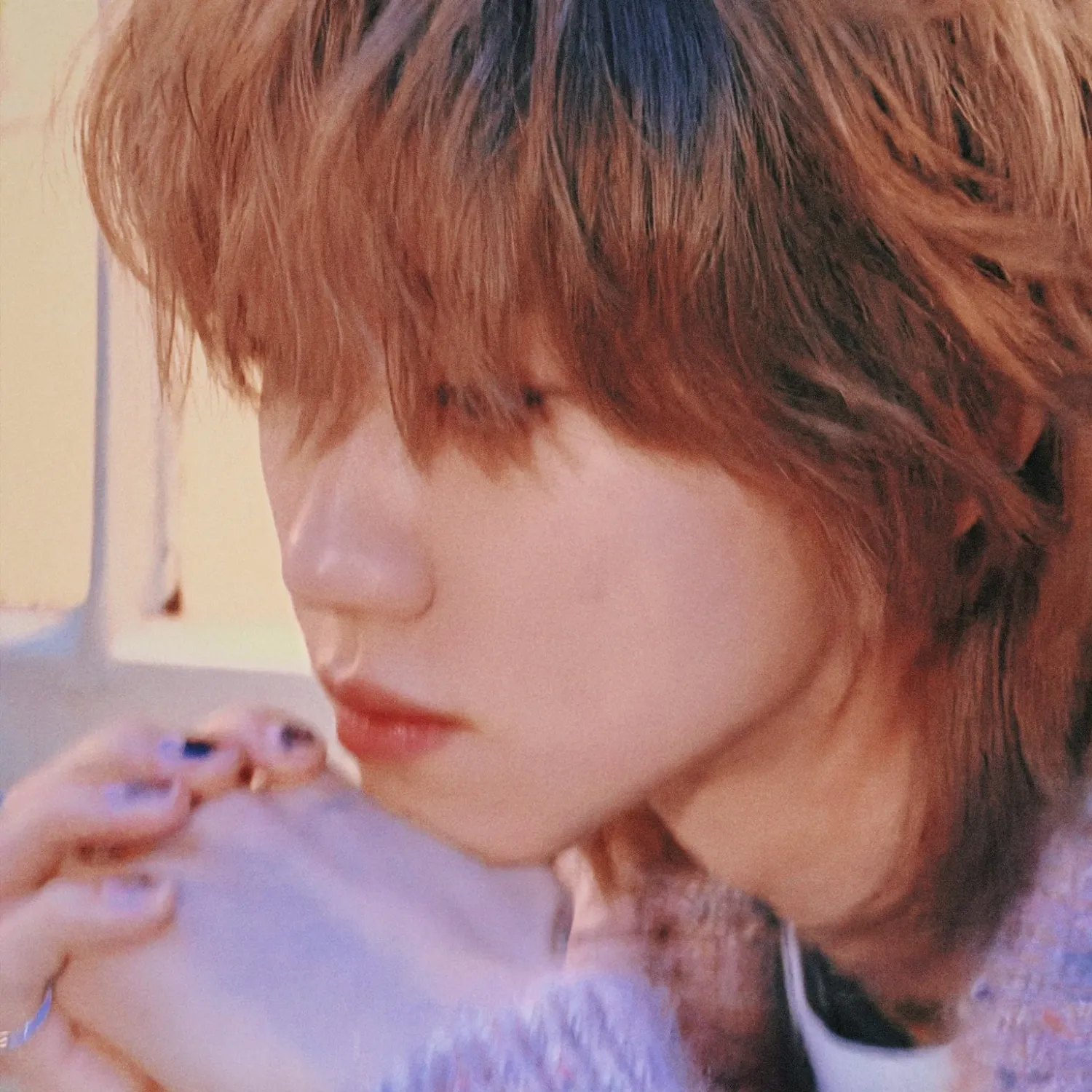 세븐틴 팬이 찍은 순간