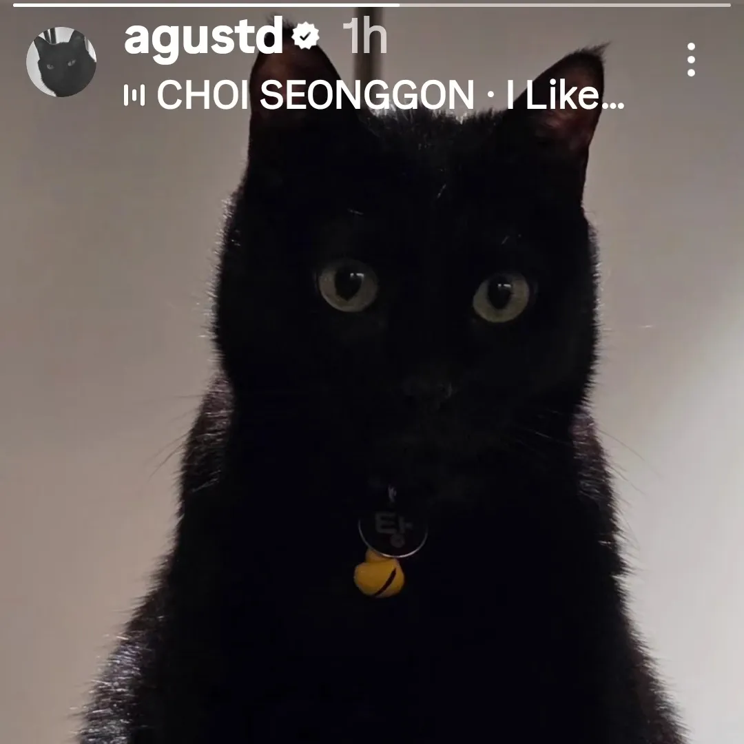 A moment captured by BTS's fan