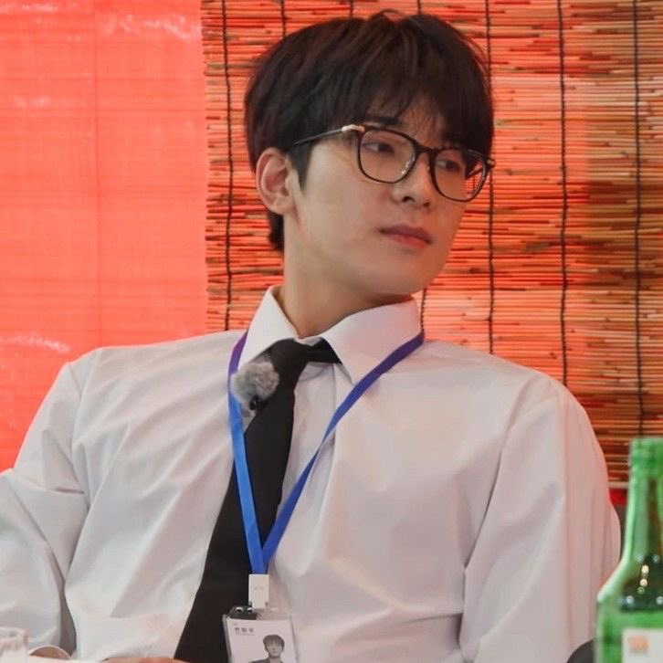 Recent activity shot of Wonwoo (SEVENTEEN)