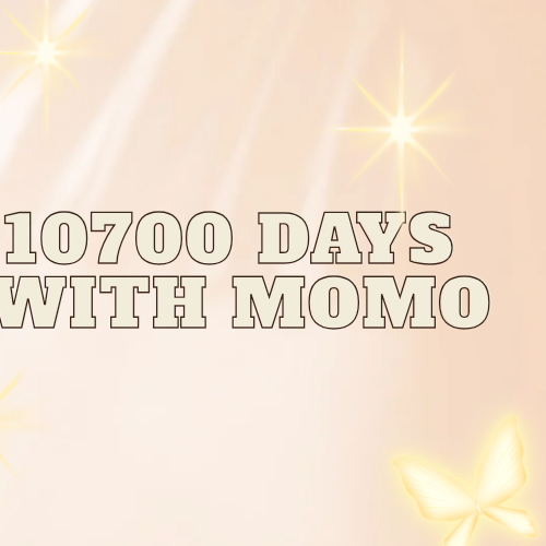 Momen yang diabadikan oleh penggemar Momo (TWICE)