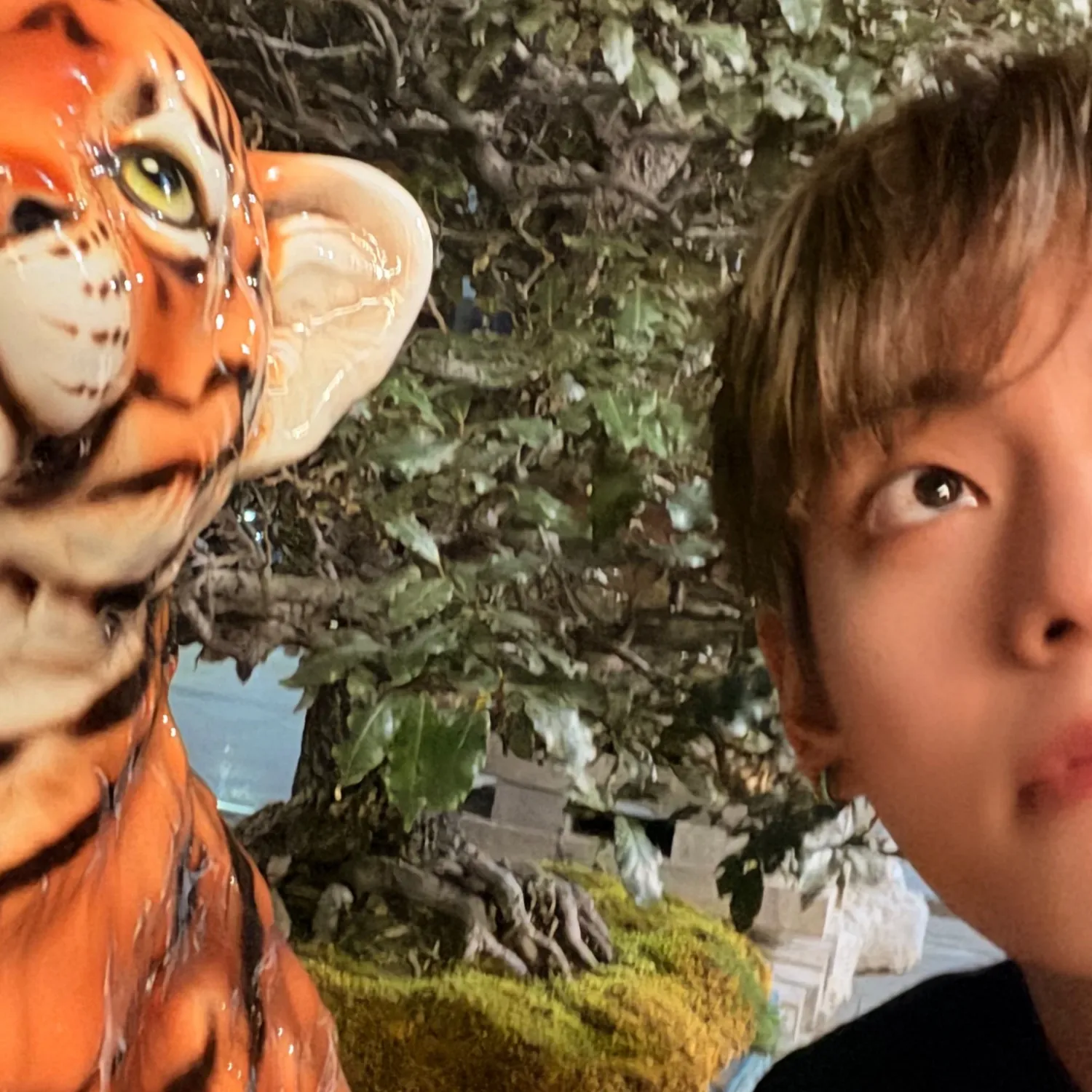 Momen yang diabadikan oleh penggemar V (BTS)