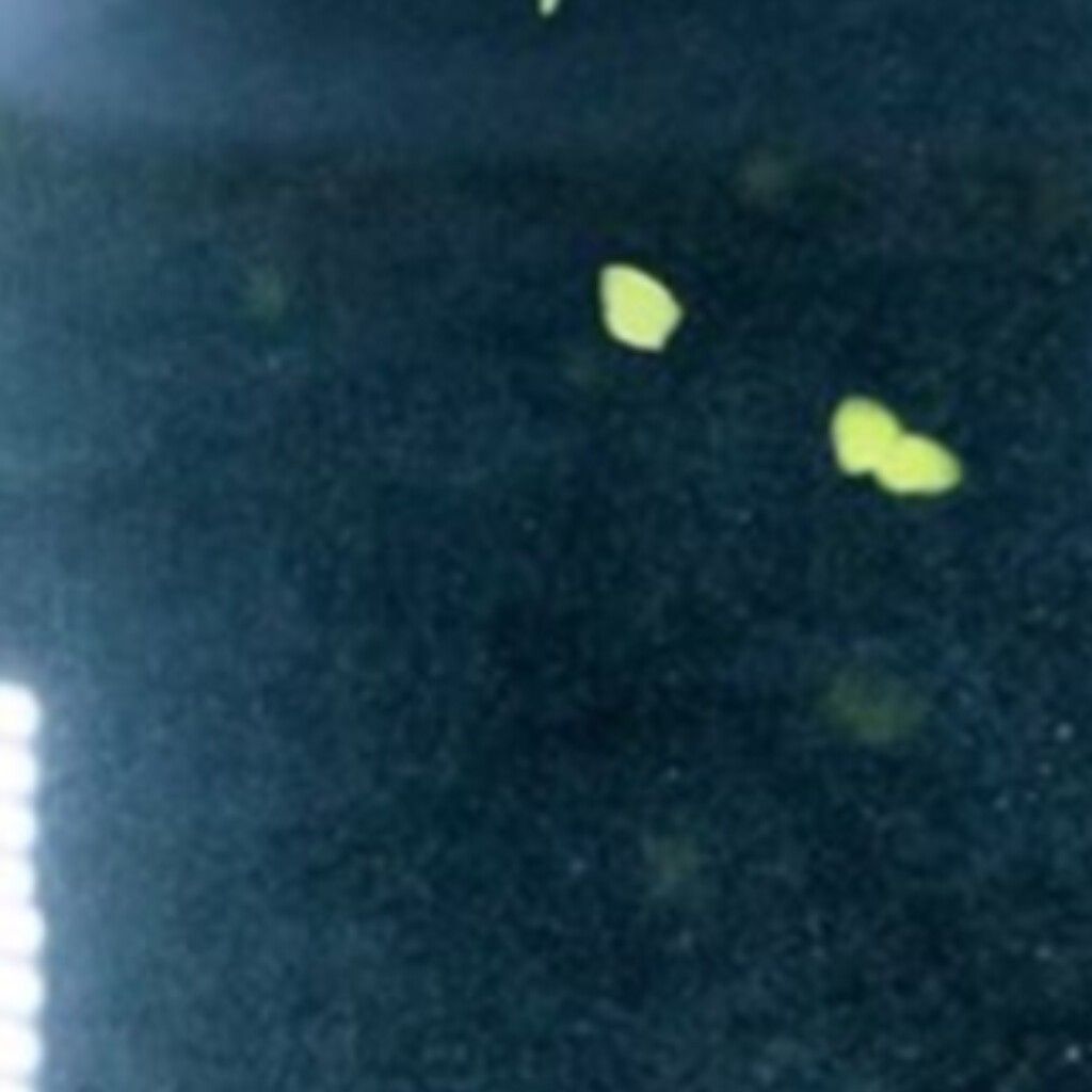 Behind-the-scenes cut of Lee Eunsang (YOUNITE)