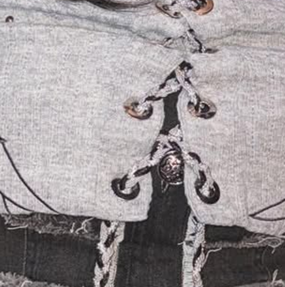 Recent activity shot of Choerry (ARTMS)