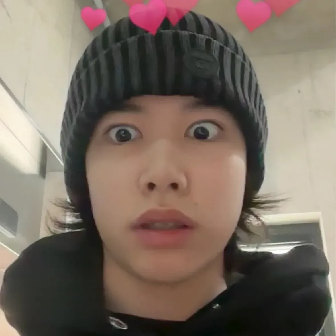 Recent activity shot of Louis (LNGSHOT)