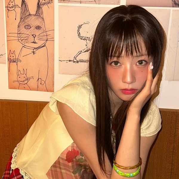 通过投票选出的尹普美 (Apink)人气头像