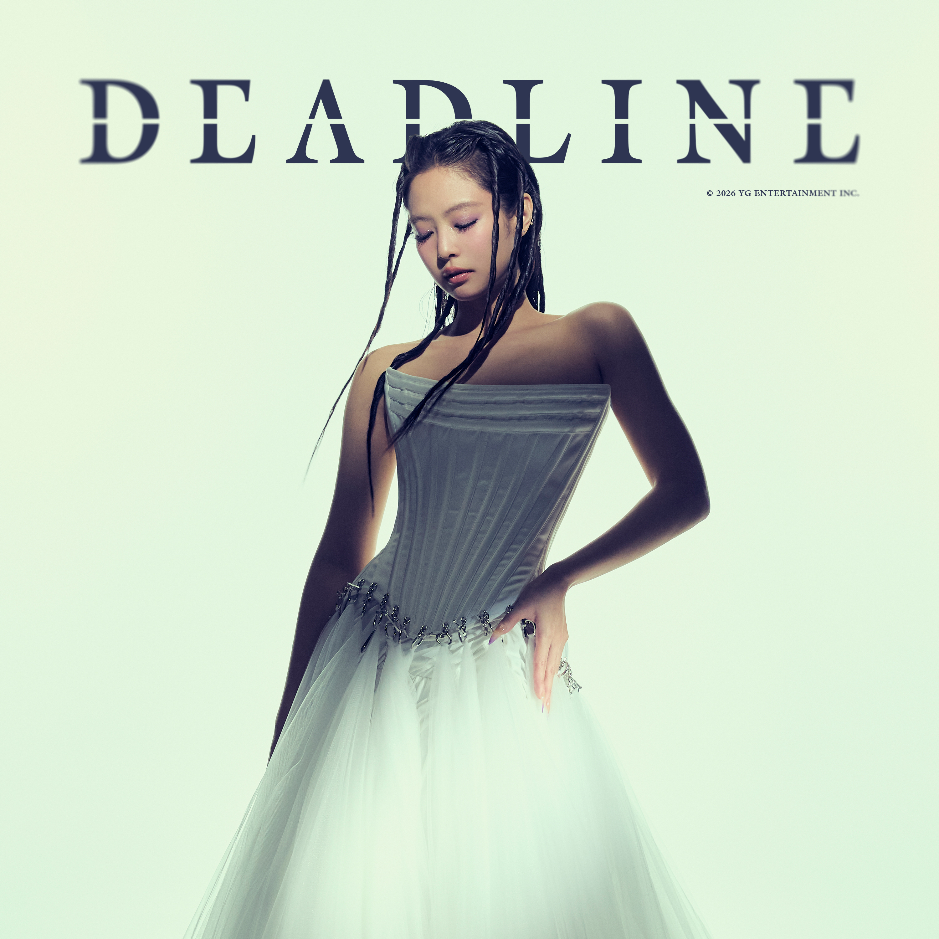 BLACKPINK 팬이 찍은 순간