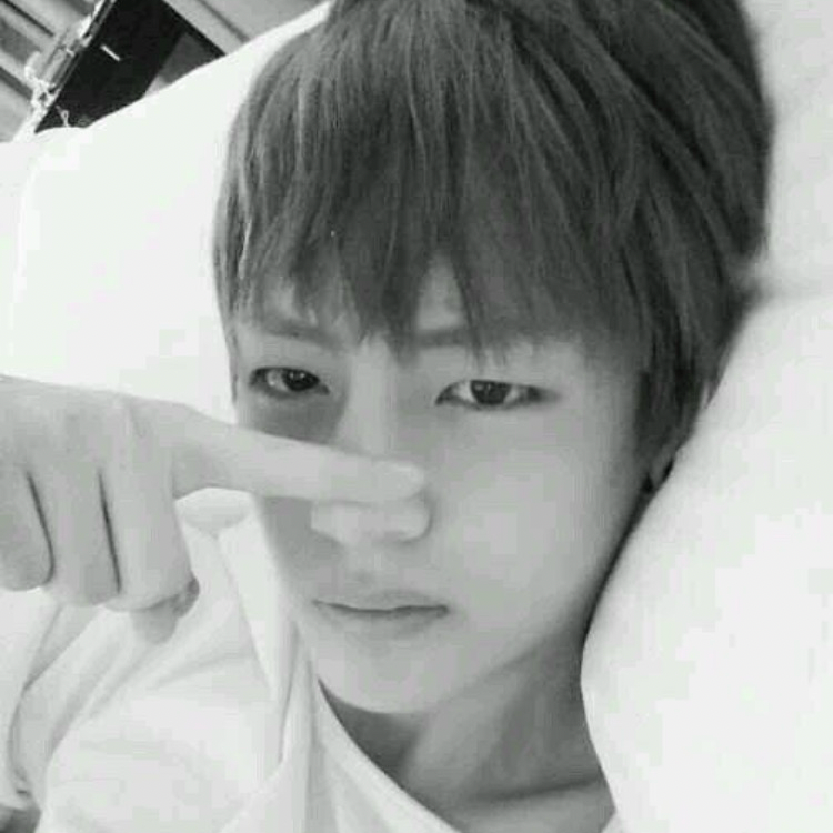 Potret di balik layar V (BTS)