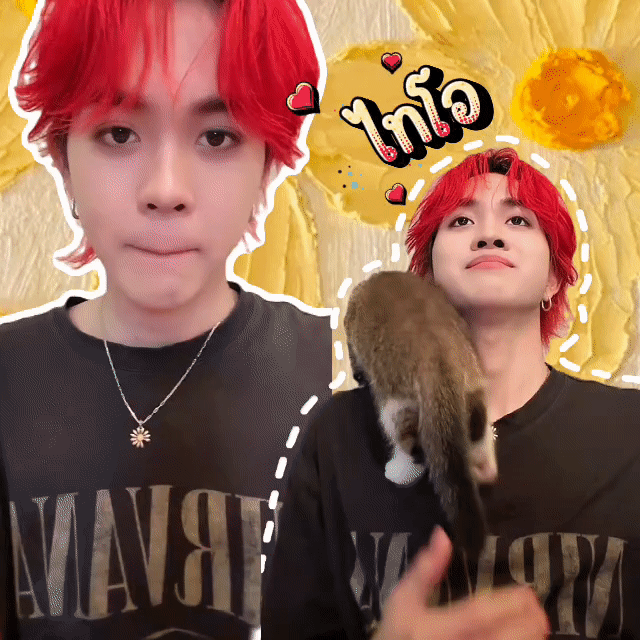 타이오 (NexT1DE) 팬이 찍은 순간