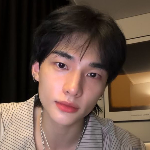 현진 (Stray Kids) 팬이 찍은 순간