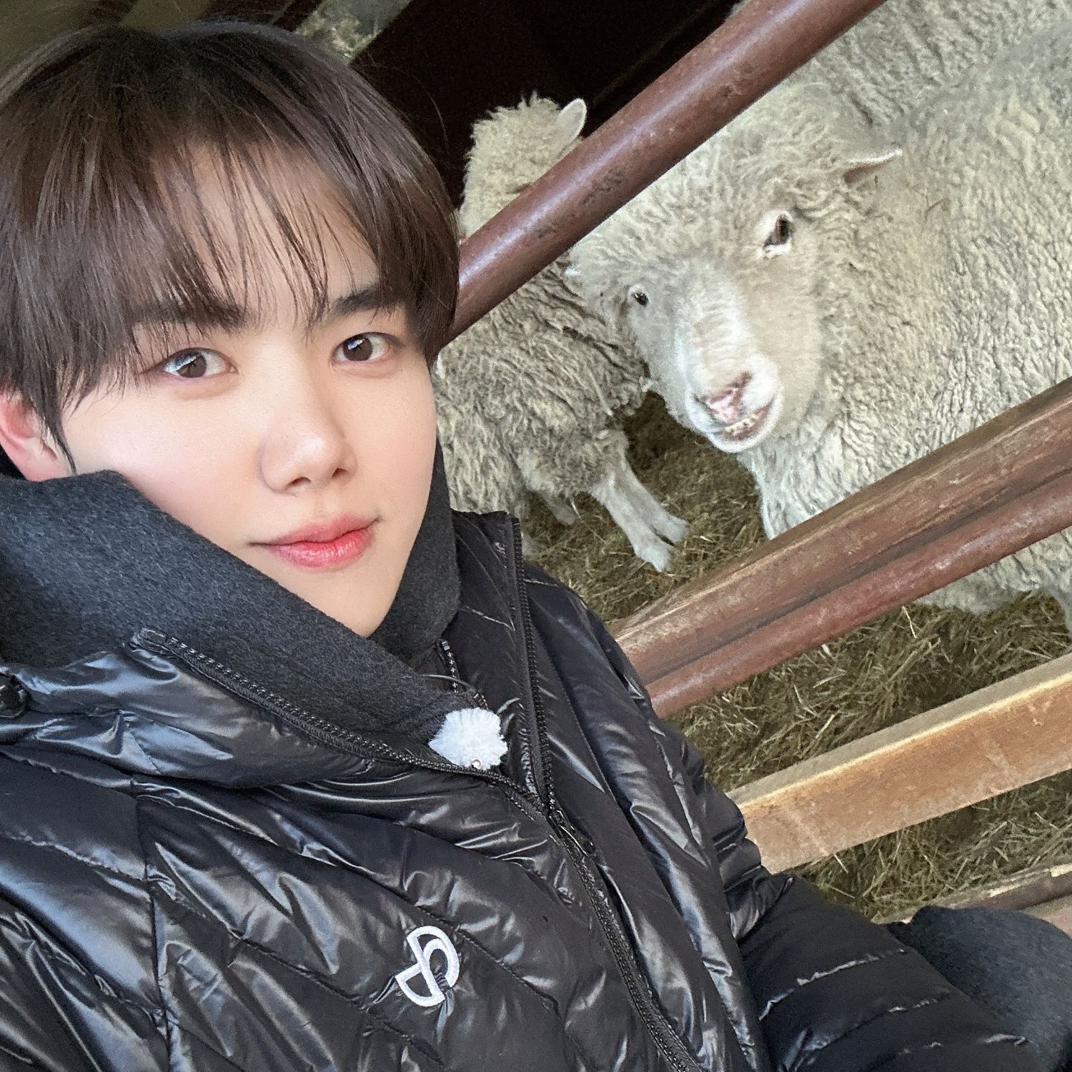 Latest photo of Minhee (CRAVITY)