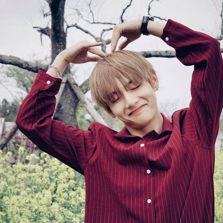 V (防弹少年团)的最新照片