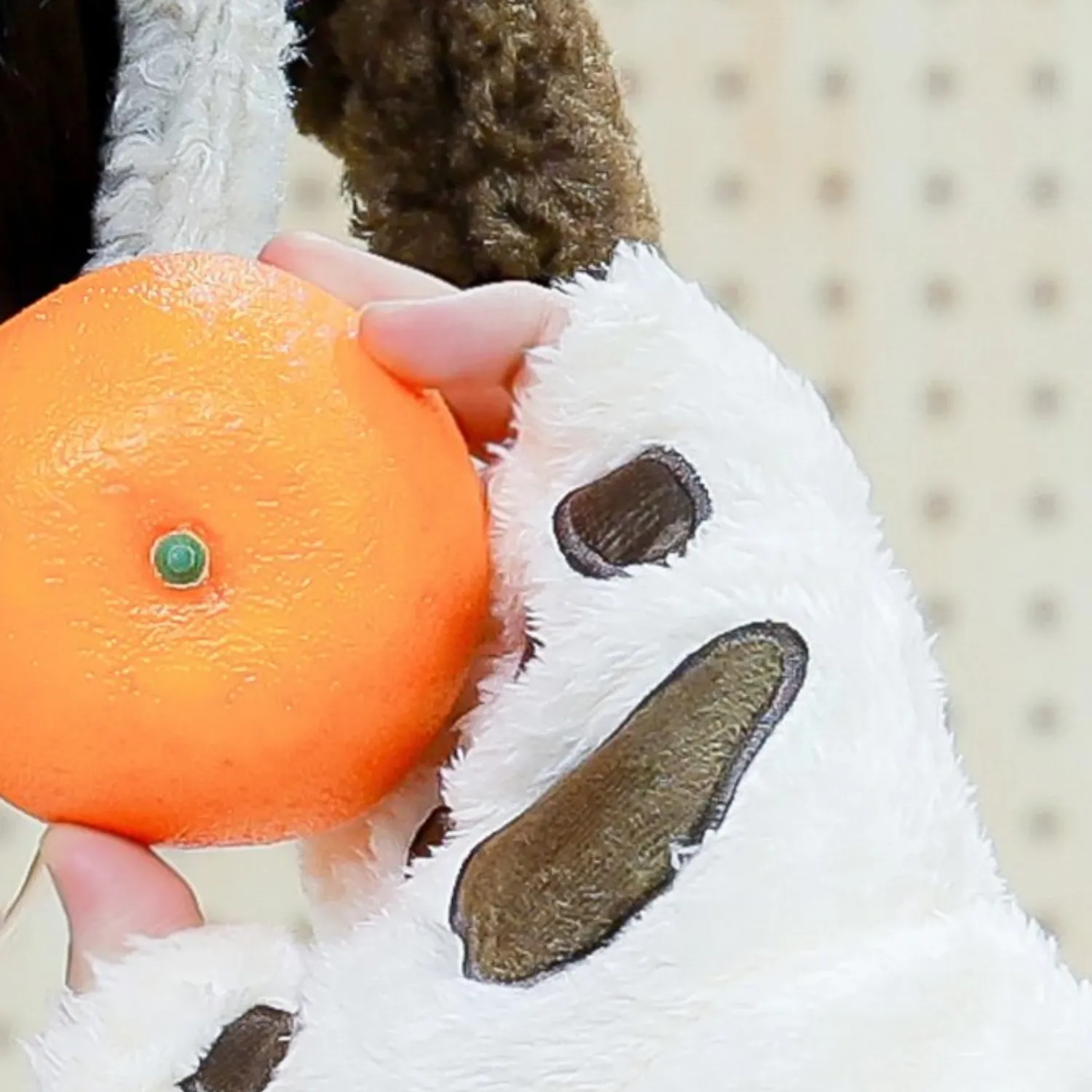 Latest photo of Hangyul (POLARIX)