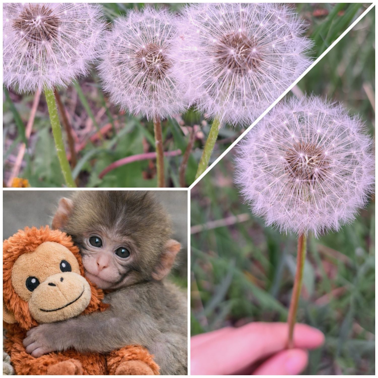 A moment captured by Moonbin (ASTRO)'s fan