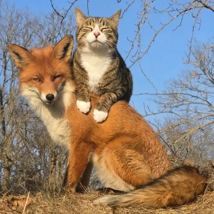 Momen yang diabadikan oleh penggemar Stray Kids