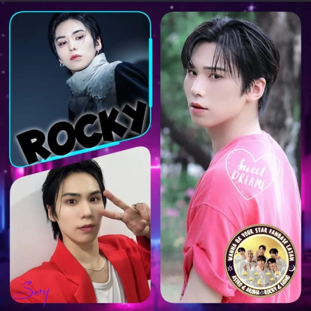 Recent activity shot of Rocky