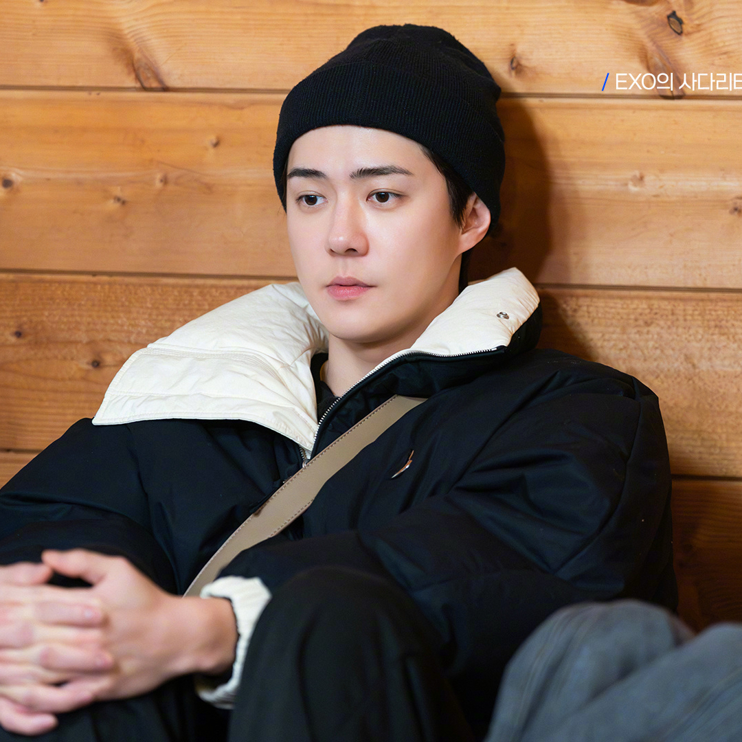 세훈 (EXO) 최근 활동샷