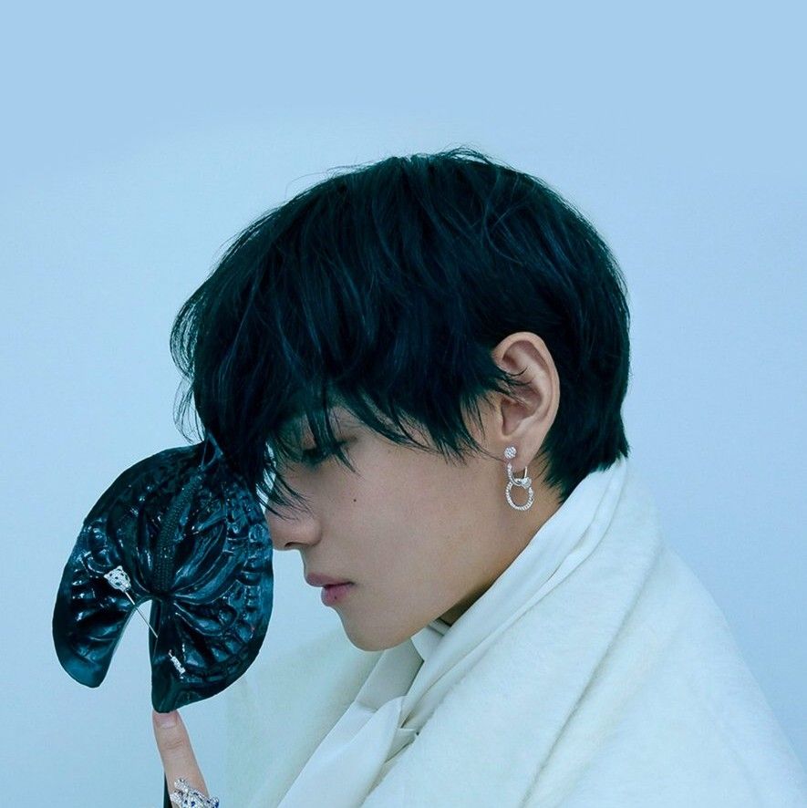 Potret di balik layar V (BTS)