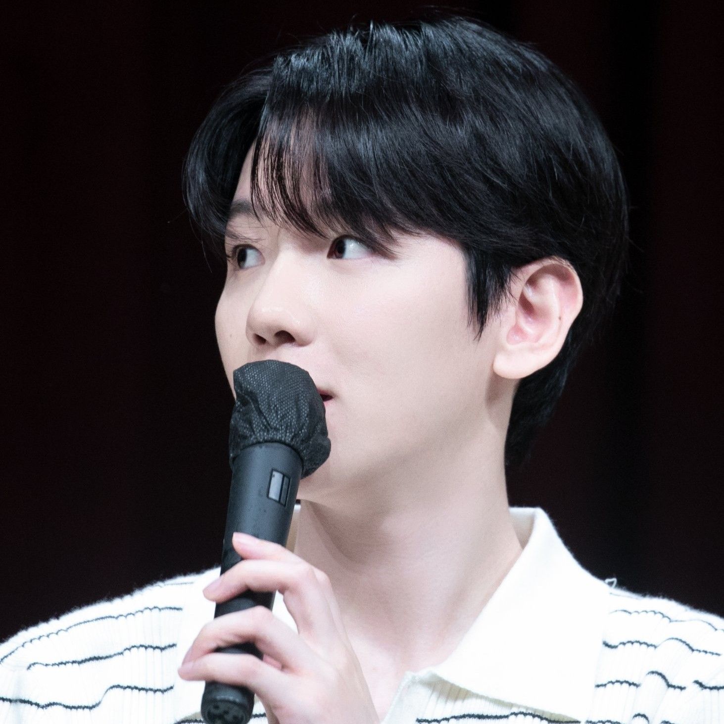 伯賢 (EXO)的幕後花絮