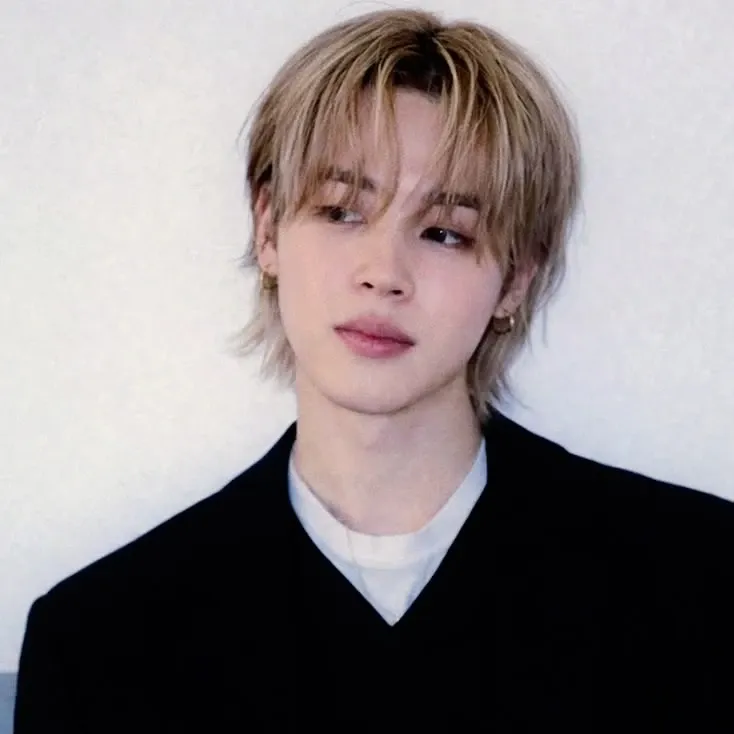 A moment captured by Jimin (BTS)'s fan