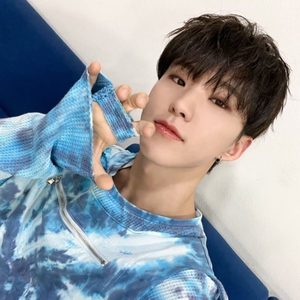 Hoshi (SEVENTEEN)粉丝拍下的瞬间