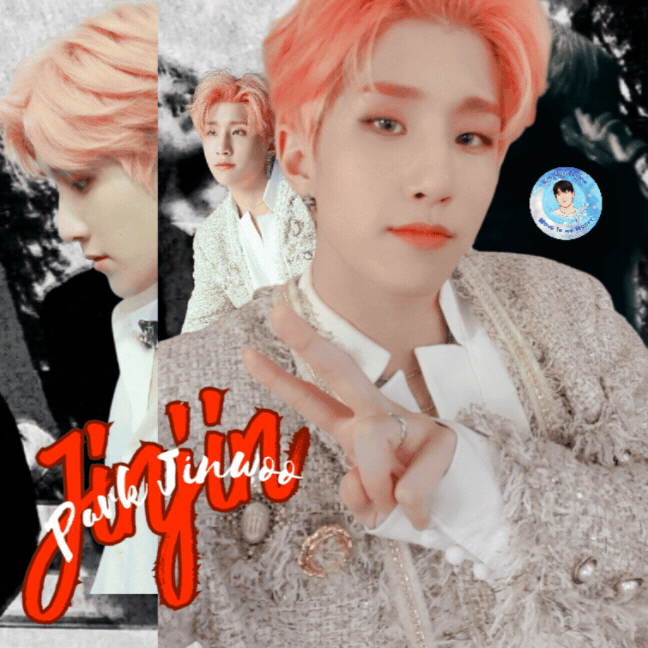 A moment captured by Jinjin (ASTRO)'s fan