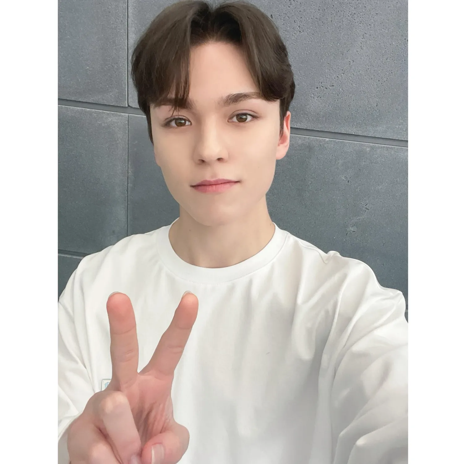 Recent activity shot of Vernon (SEVENTEEN)