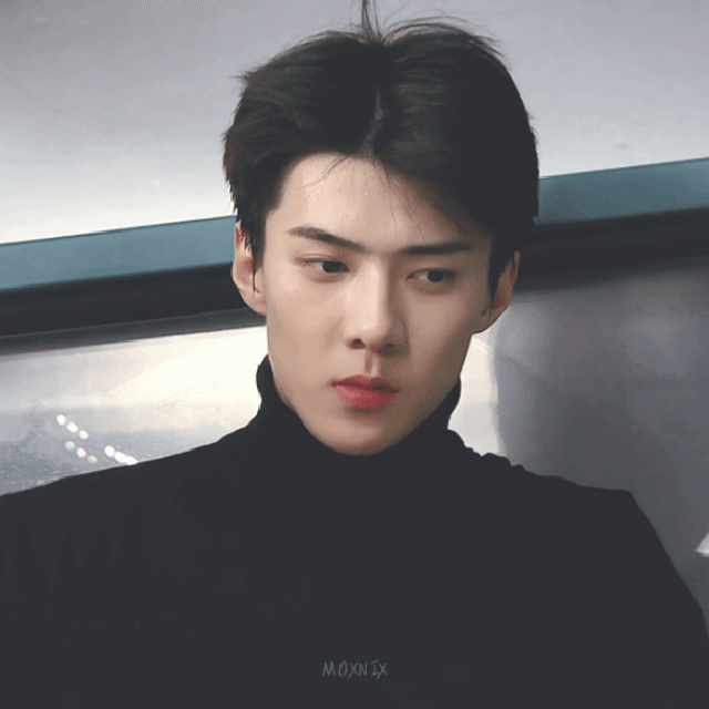 세훈 (EXO) 최근 활동샷
