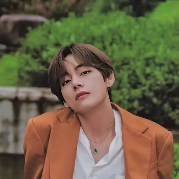 뷔 (방탄소년단) 팬이 찍은 순간
