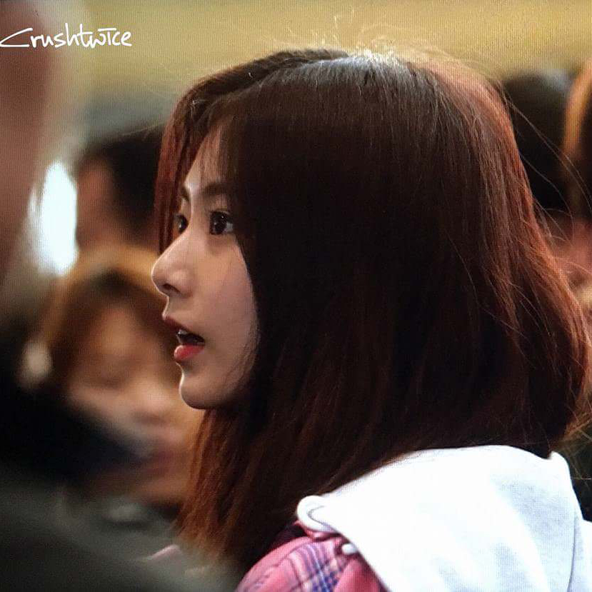 TWICE 팬이 찍은 순간