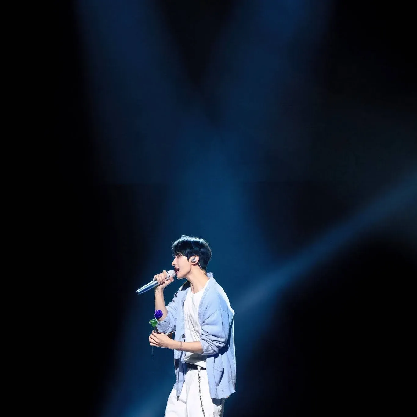 SEVENTEEN的最新照片