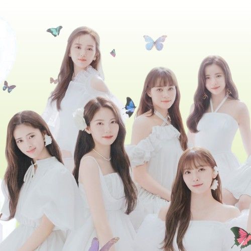 리쿠 (NiziU) 팬이 찍은 순간