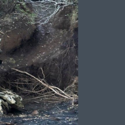 Recent activity shot of Moonbyul (MAMAMOO)