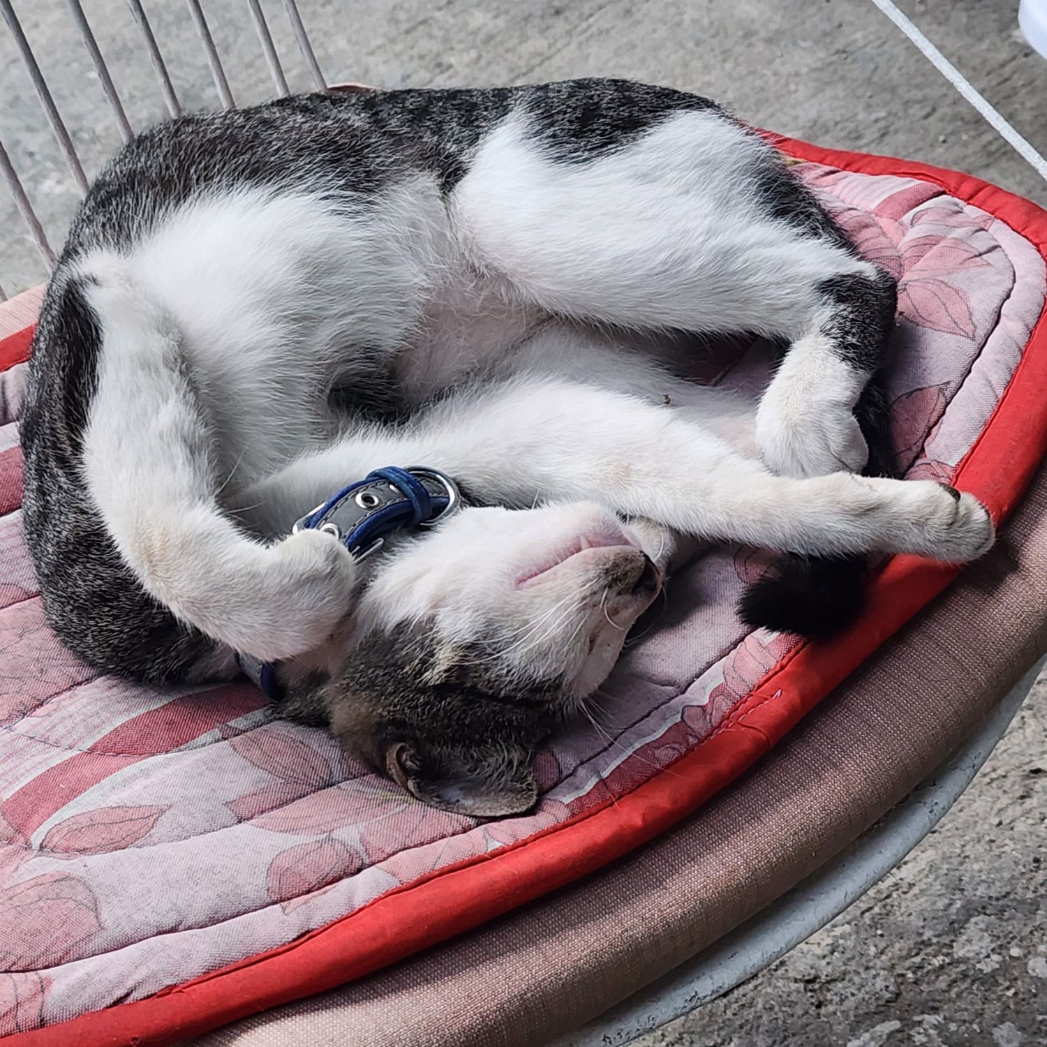 세븐틴 최근 활동샷