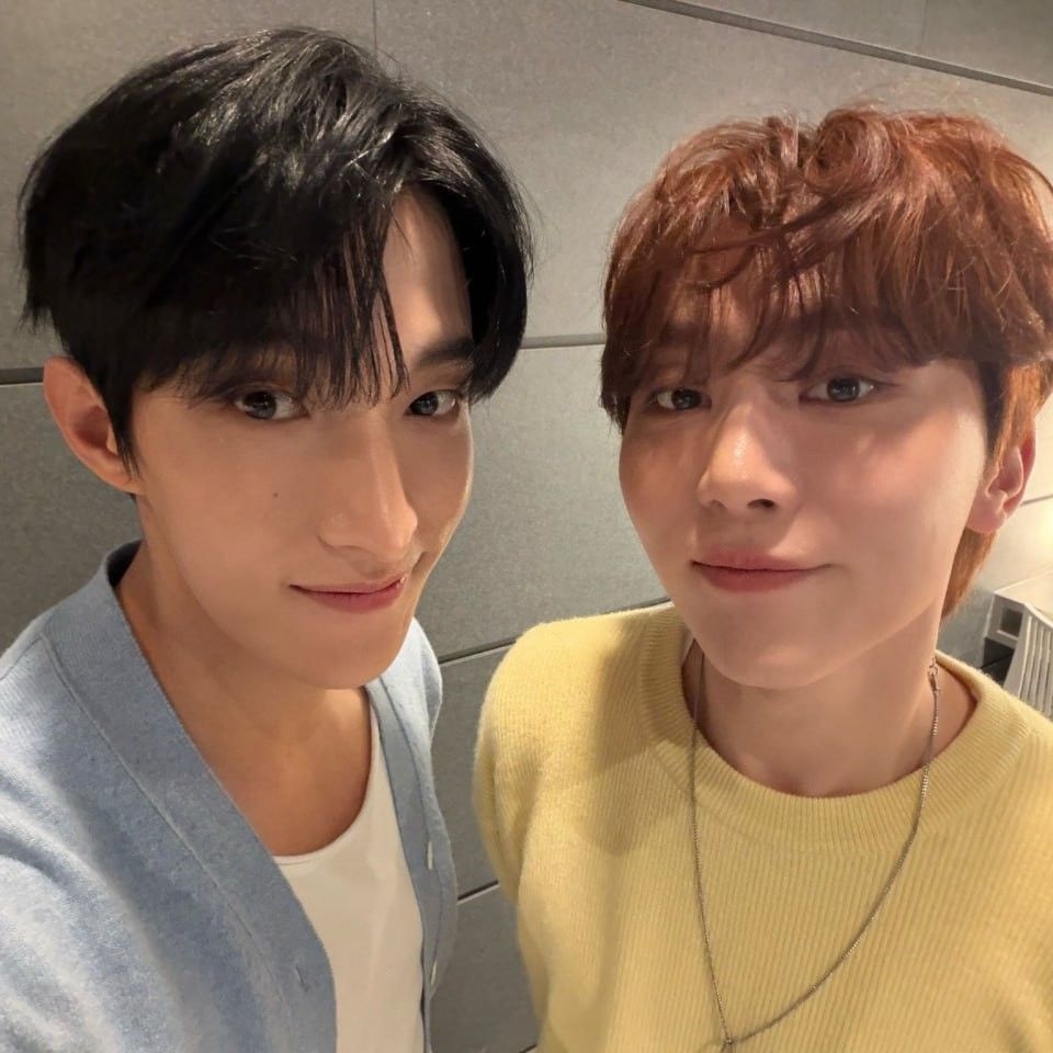 세븐틴 팬이 찍은 순간