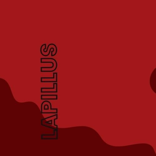 A moment captured by Haeun (Lapillus)'s fan