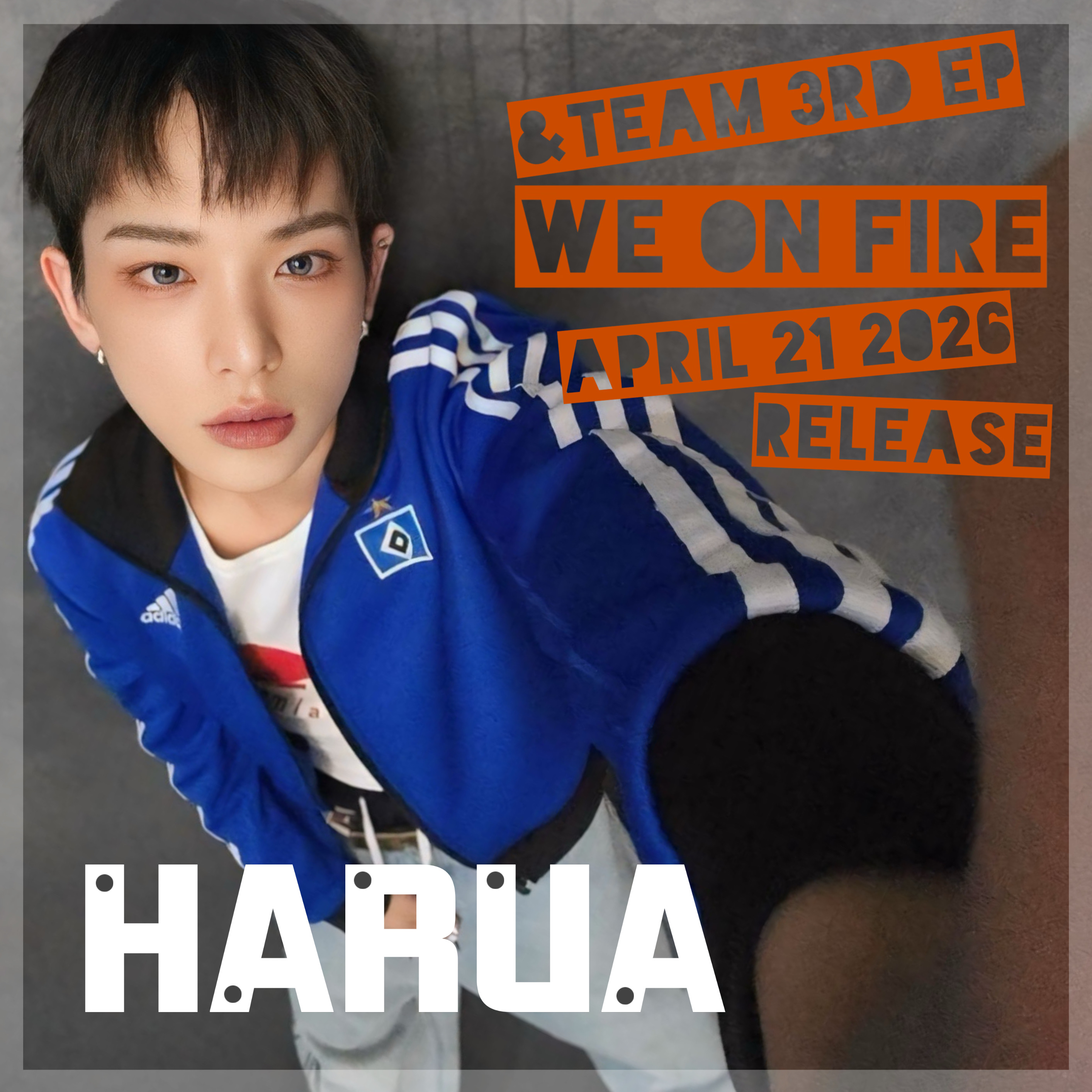 最愛ドルコミュニティの爆発的人気投稿