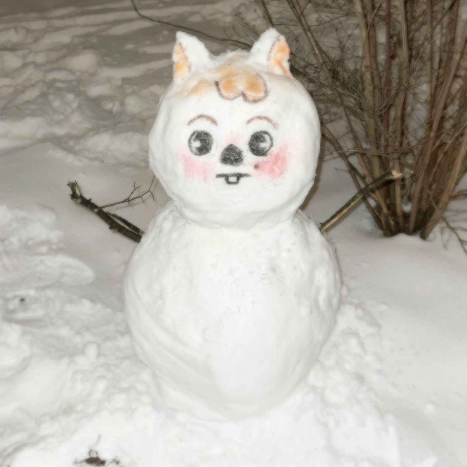 Recent activity shot of Stray Kids