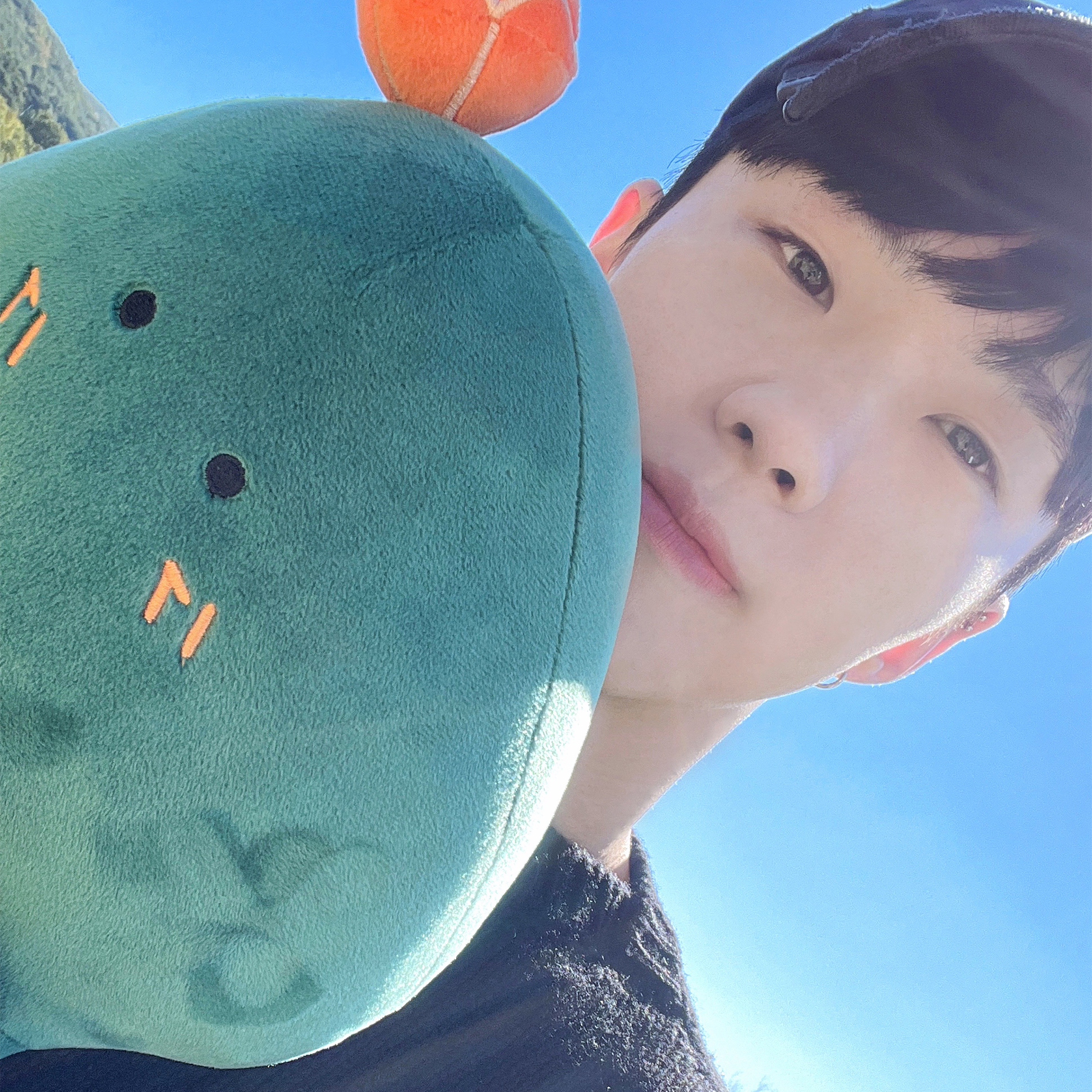 A moment captured by Hoshi (SEVENTEEN)'s fan